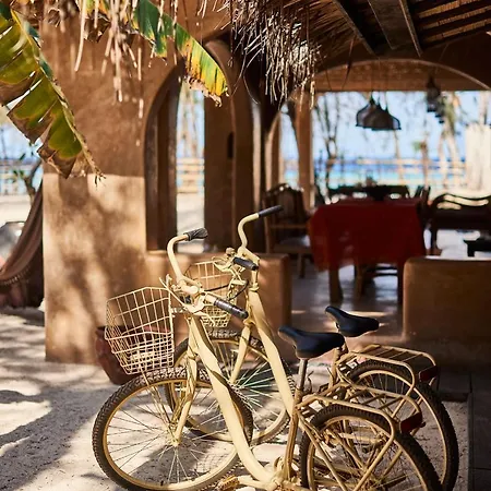 The Island Houses Gili Meno Exterior foto