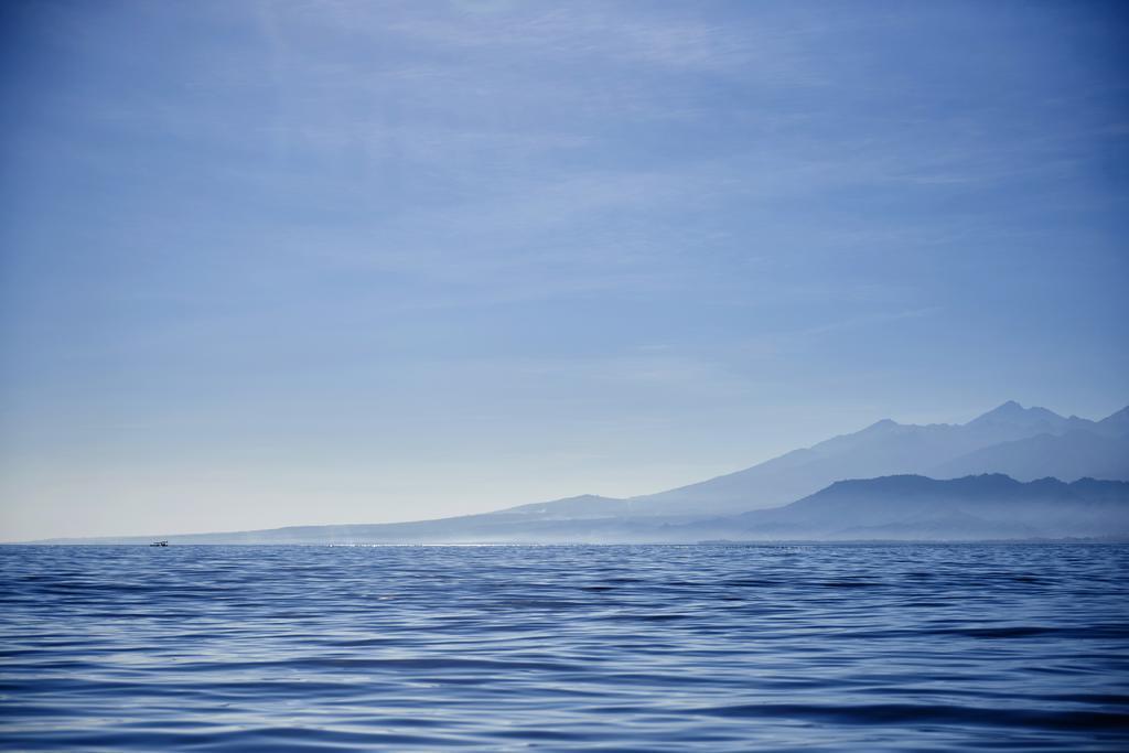 The Island