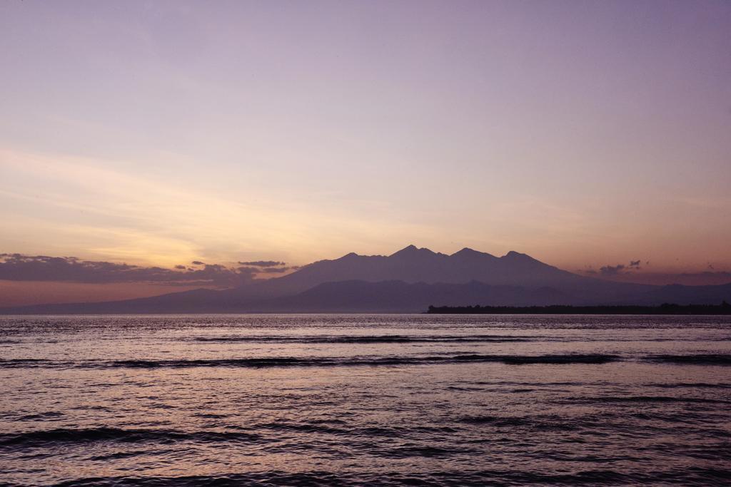 The Island